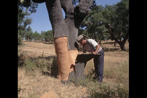 Peeling cork